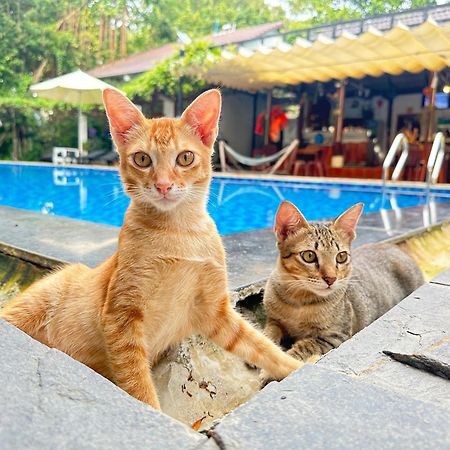 Have Fun Phu Quoc 빌라 외부 사진