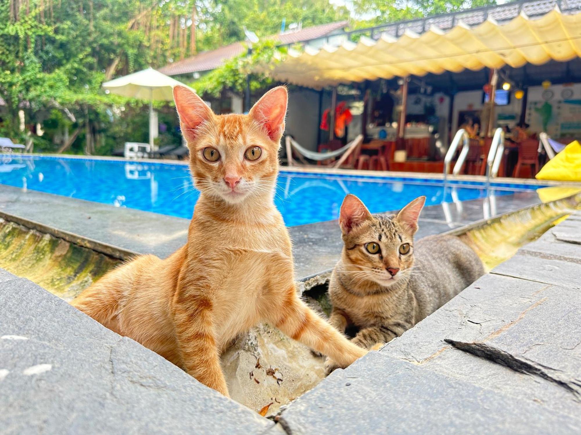 Have Fun Phu Quoc 빌라 외부 사진